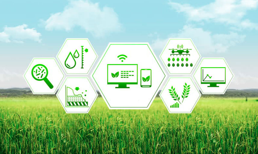 Будущее за IoT-платформами в сельском хозяйстве